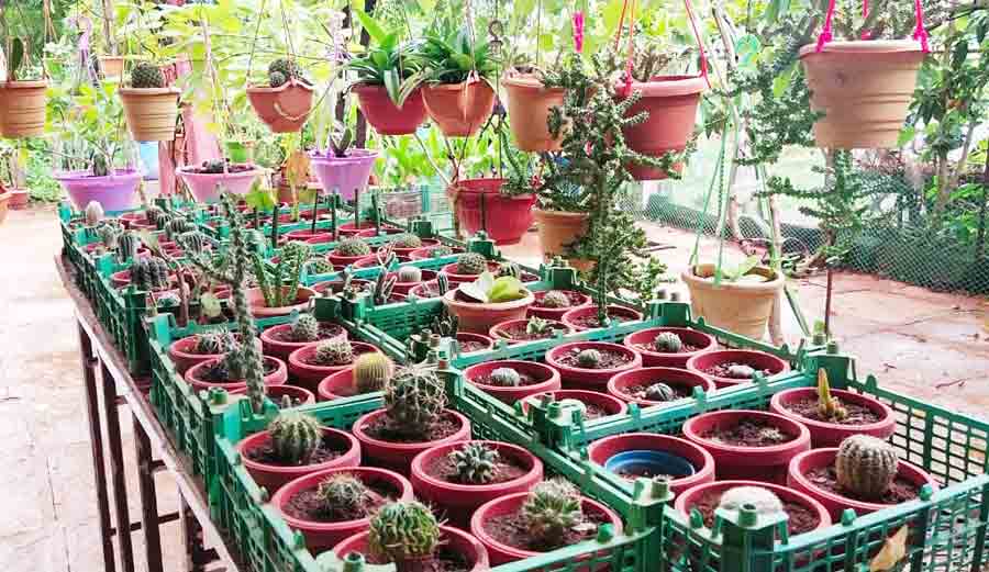 పూల ప్రయోగశాల