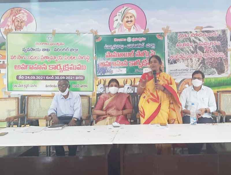 ప్రత్యామ్నాయ పంటలపై దృష్టి పెట్టాలి