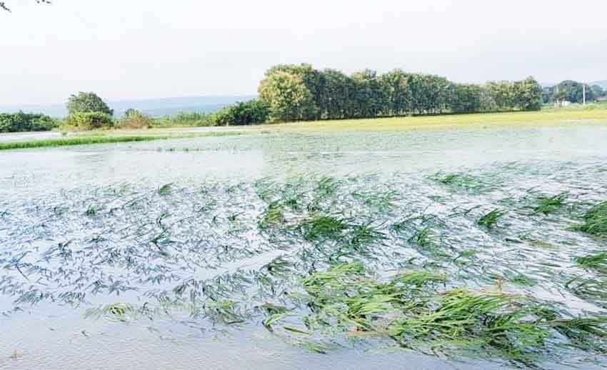 ములుగు, భూపాలపల్లి జిల్లాల్లో ‘గులాబ్‌’ ఎఫెక్ట్‌