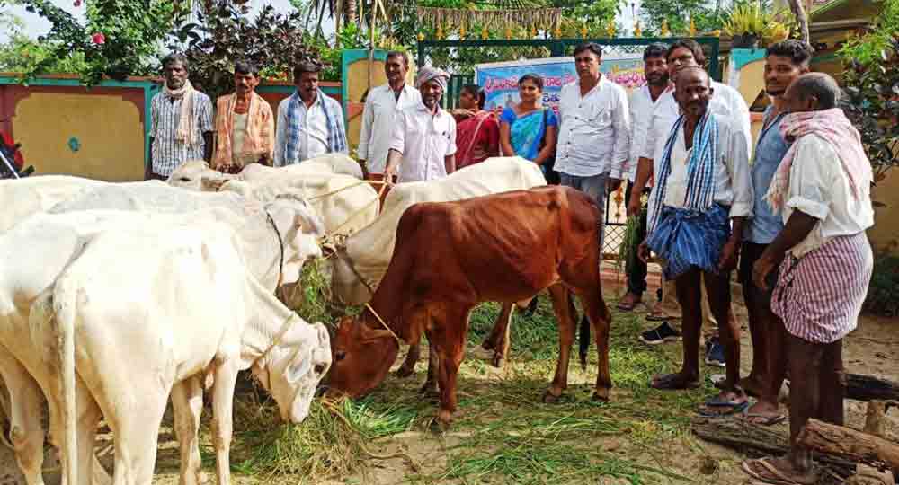 ‘గోవుల సంరక్షణతోనే రైతుల మనుగడ’