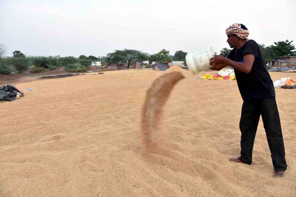 పక్కా ప్రణాళిక