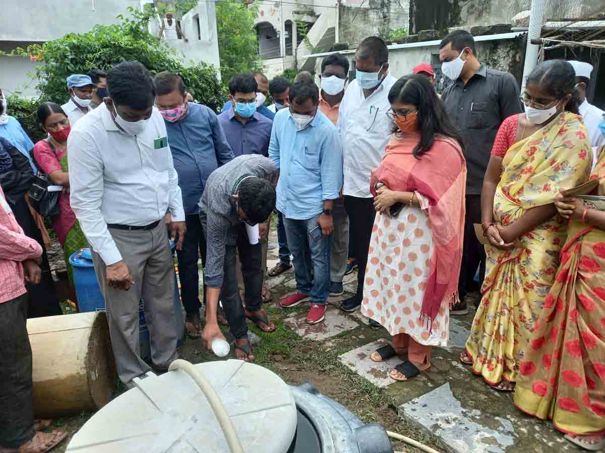 డెంగీపై వార్‌