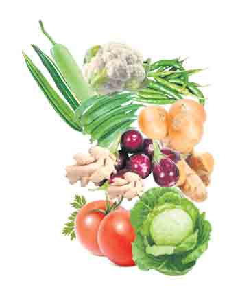 మన కూరగాయలు మనకే..