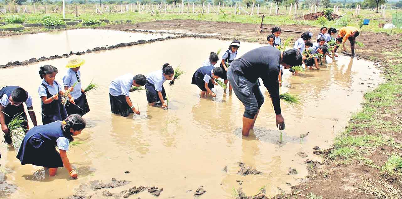 ఇచ్చట ఎవుసం నేర్పబడును!