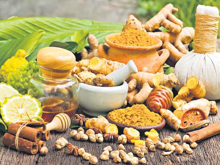 పంచకర్మ టెక్నీషియన్‌ కోర్సు