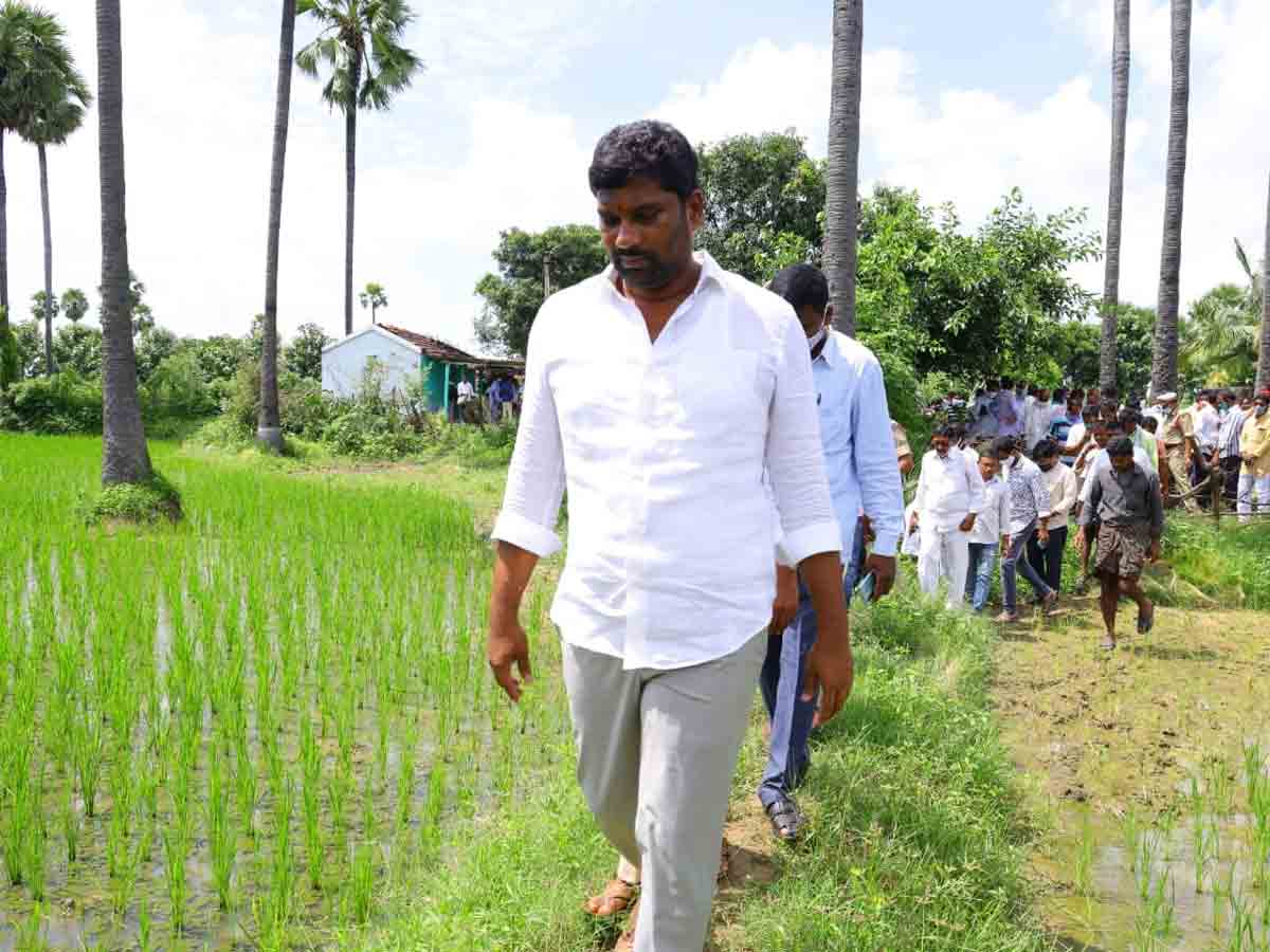 పంట నష్టపోయిన రైతులను ఆదుకుంటాం : ప్రభుత్వ విప్ బాల్క సుమన్