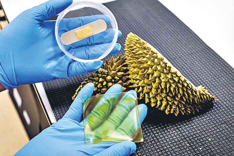 పండ్ల తొక్కల నుంచి బ్యాండేజీలు