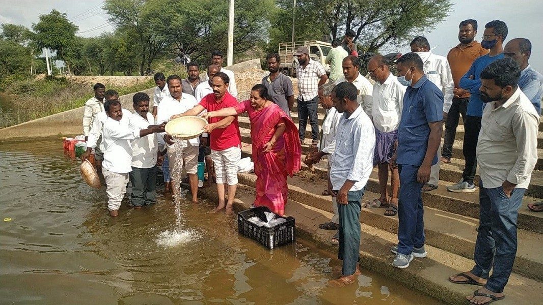 Cinnakoduru: చేపలు ఎగుమతి చేసే స్థాయికి ఎదిగాం..: రోజారాధాకృష్ణశర్మ