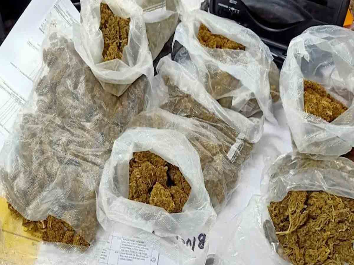 ఖమ్మంలో జోరుగా గంజాయి దందా.. 30 కిలోల సరుకు పట్టుకున్న పోలీసులు