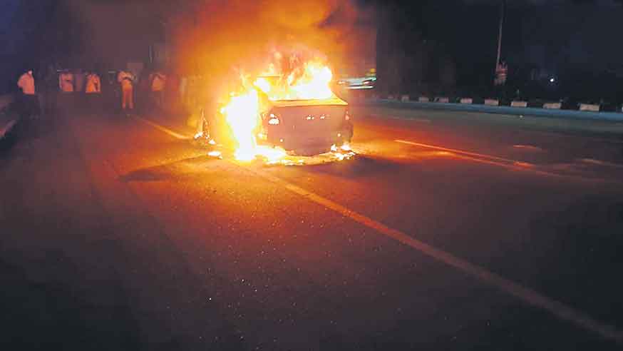 డాక్టర్‌ ప్రాణం తీసిన ఎలుకలు!