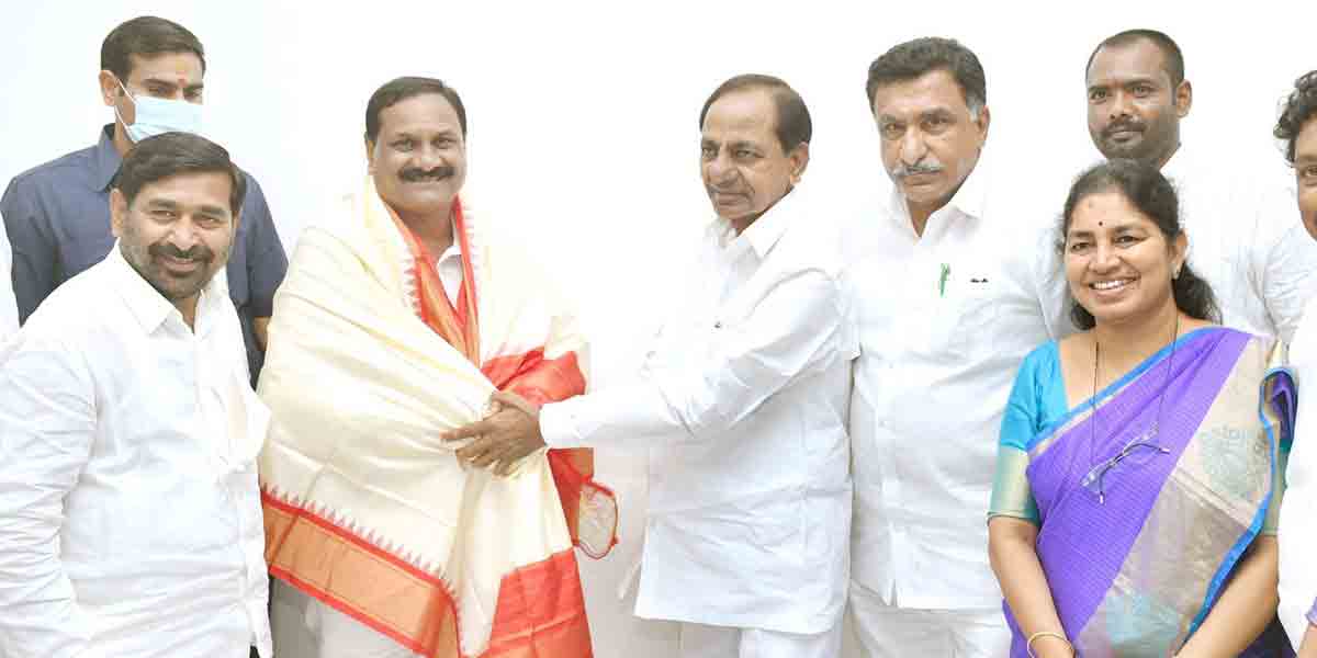 సీఎం కేసీఆర్‌ను కలిసిన ‘నార్ముల్’ నూతన కార్యవర్గం