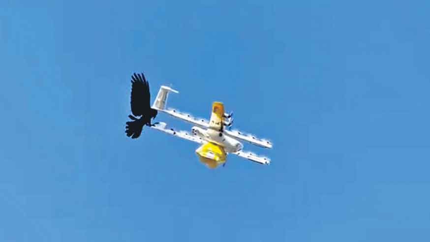 నా ఏరియాలోకి వస్తావా!