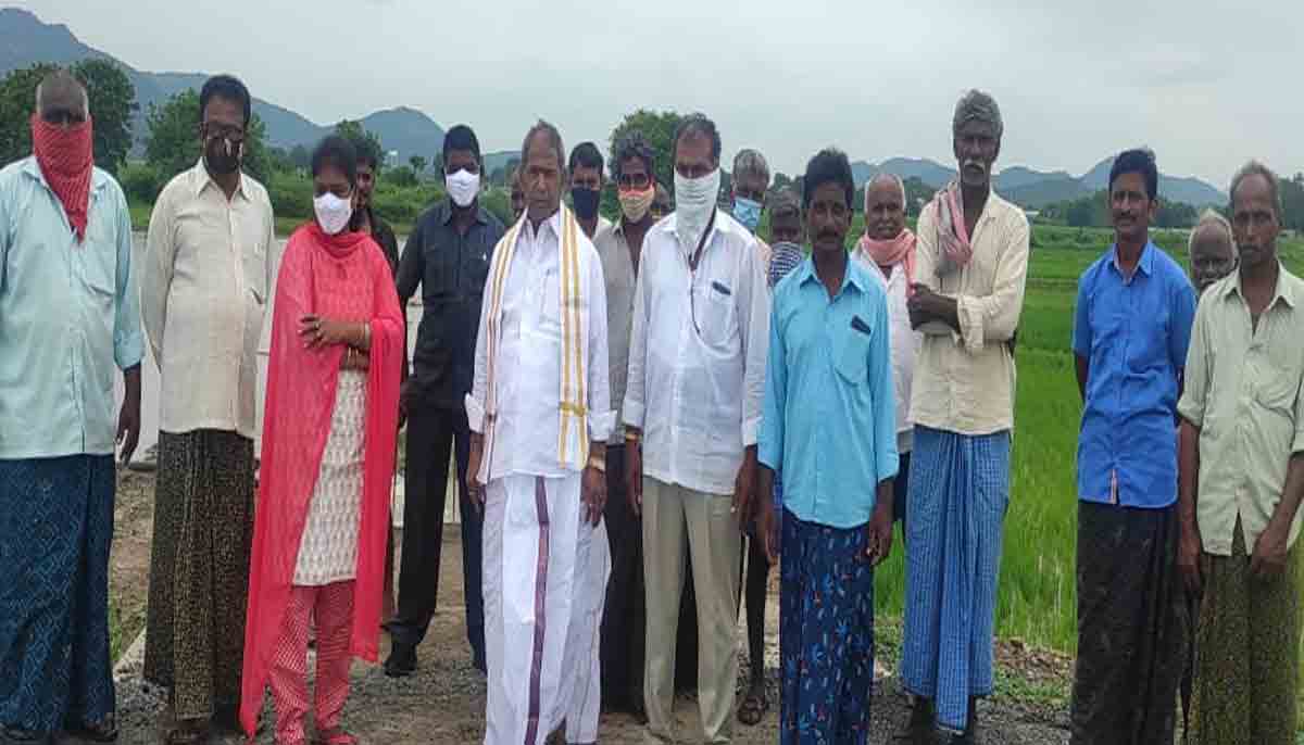 Khammam | వరదకు దెబ్బతిన్న పంటలను పరిశీలించిన డీసీసీబీ చైర్మన్..