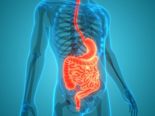 ఈ చిట్కాల‌తో అజీర్ణం, మ‌ల‌బ‌ద్ధకానికి చెక్‌!