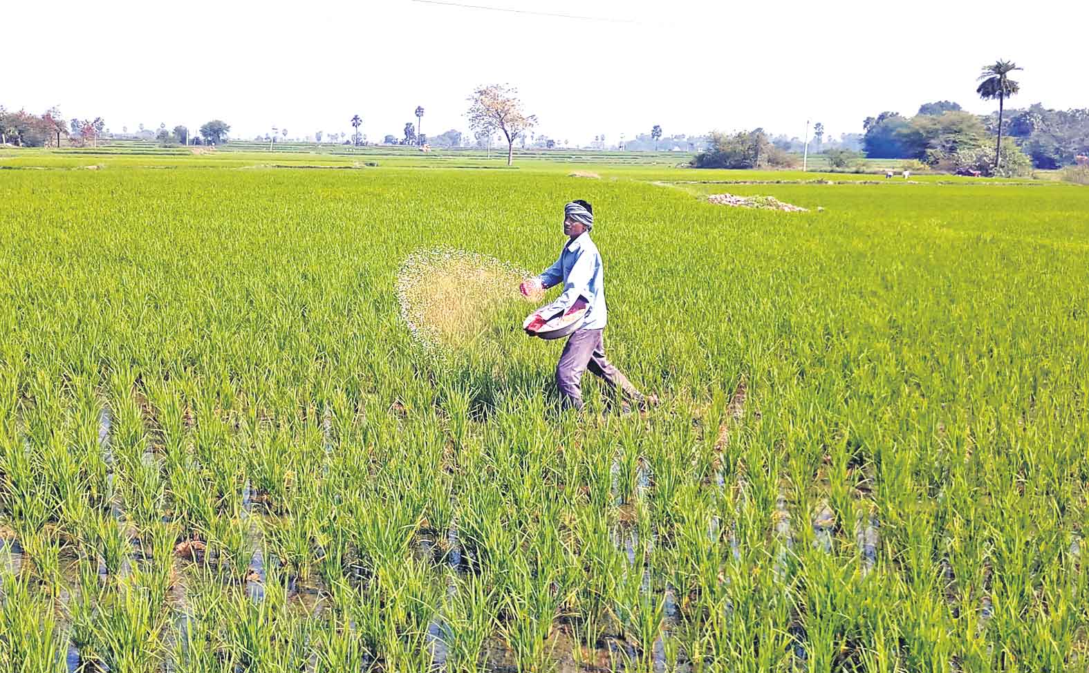 పొదుపులో మన రైతు మేటి