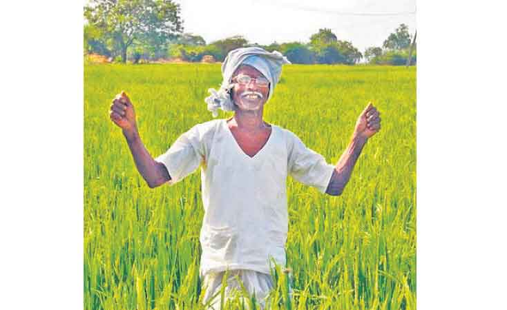 బక్క రైతులకు ‘ఉపశమనం’