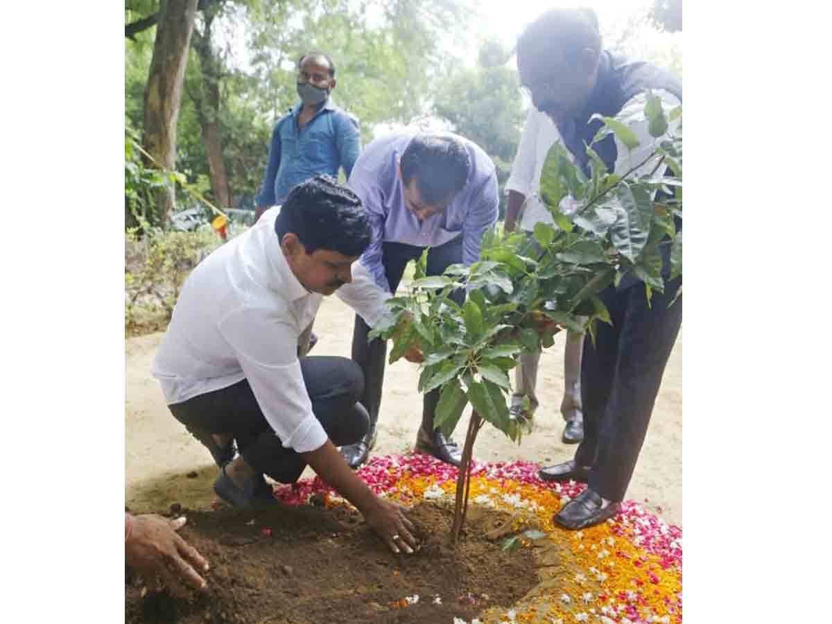 గ్రీన్ ఇండియా చాలెంజ్ : మొక్కలు నాటిన నీతి ఆయోగ్ సీఈవో అమితాబ్ కాంత్