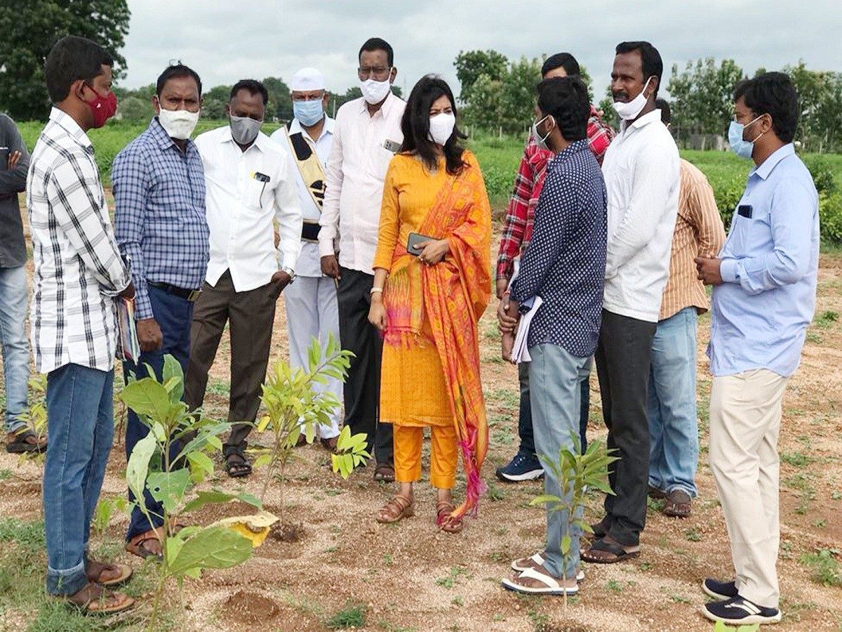 బీపీపీలో మొక్కలను త్వరితగతిన నాటాలి : గరిమాఅగర్వాల్‌