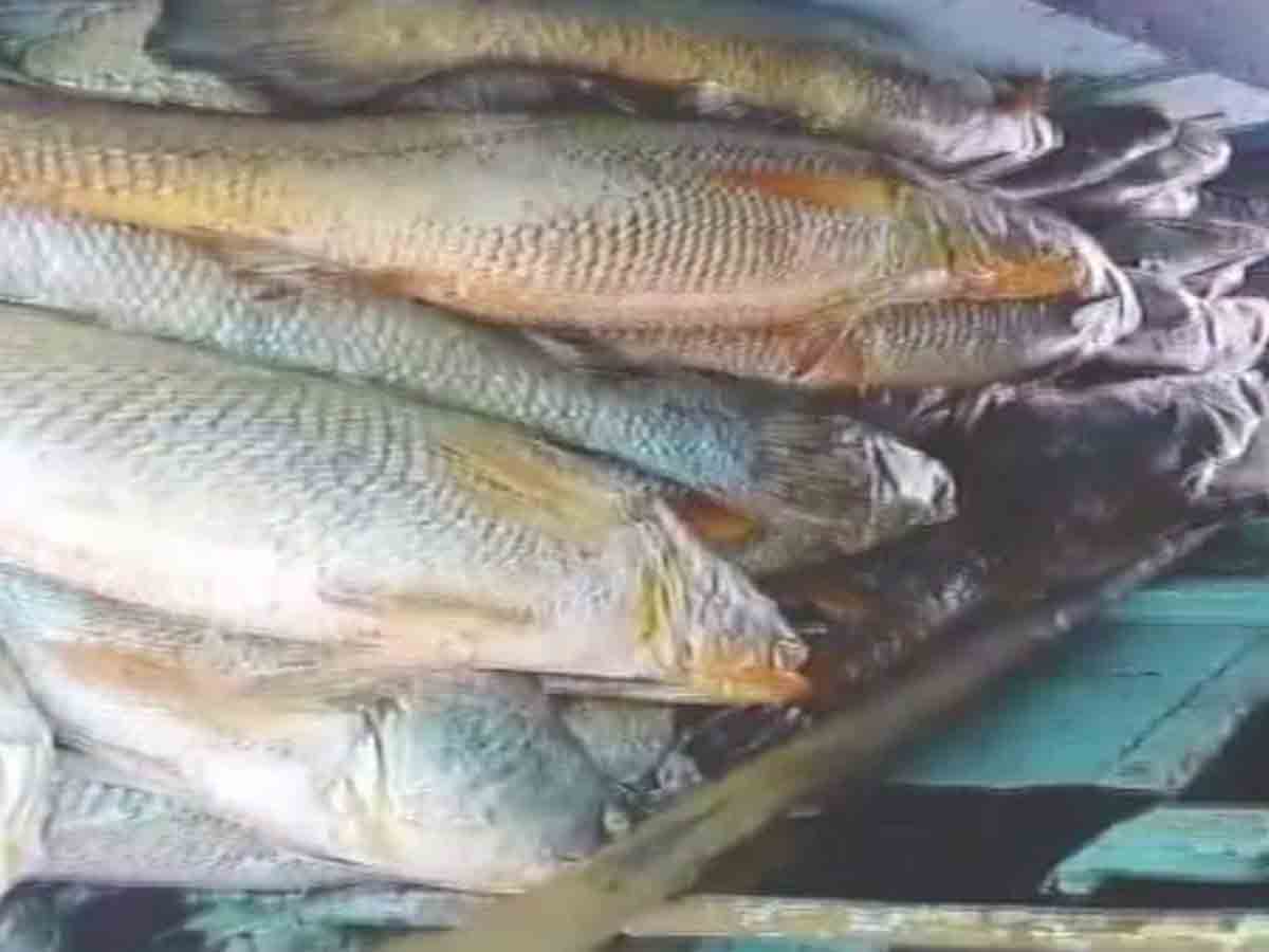 చేపలు పట్టాడు.. రాత్రికి రాత్రే కోటీశ్వరుడయ్యాడు