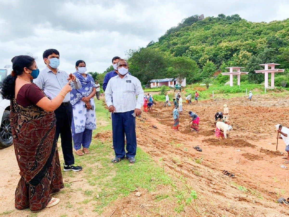 మొక్కలు నాటే కార్యక్రమానికి ఇబ్బందులు కలిగించొద్దు: జగిత్యాల కలెక్టర్‌ రవి