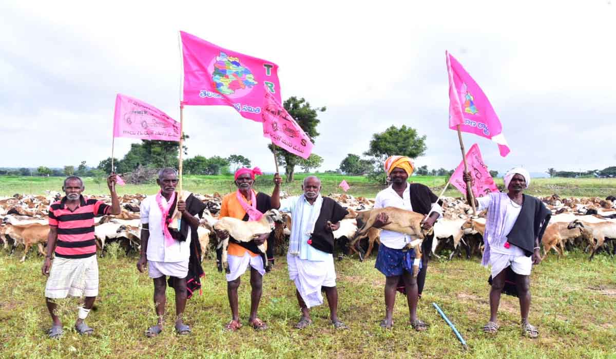 ప్ర‌కృతి వ‌నాలు.. గొర్రె మంద‌ల మ‌ధ్య‌.. గొల్ల కురుమ‌ల గులాబోత్సవం