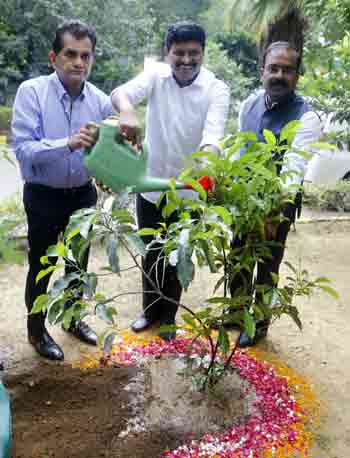 హరితోద్యమం కేసీఆర్తో విశ్వవ్యాప్తం