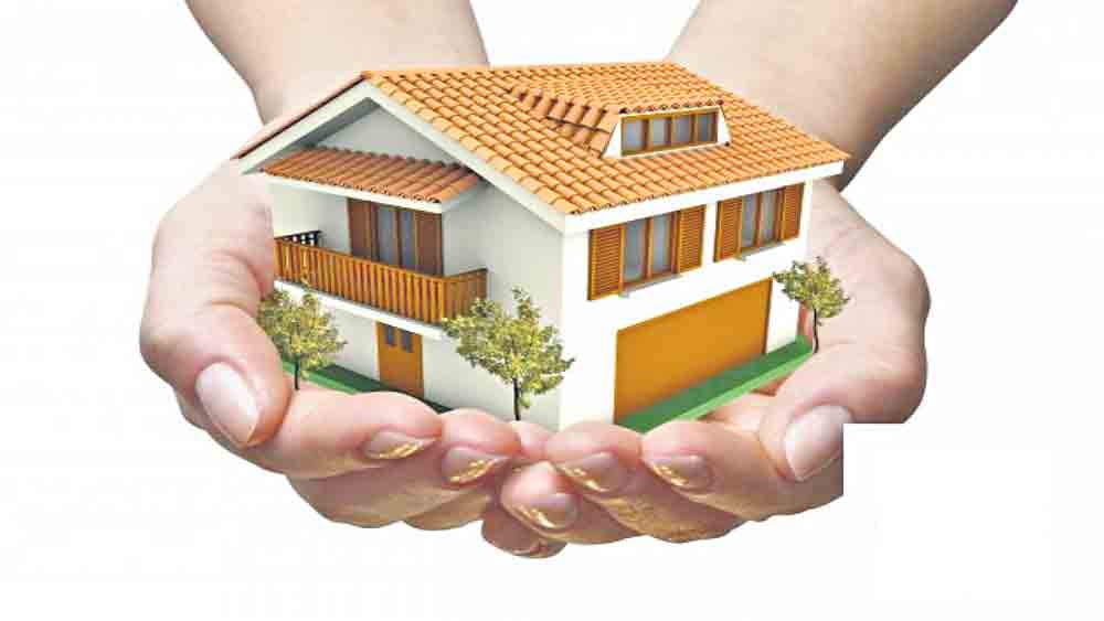 పండుగ బొనాంజా