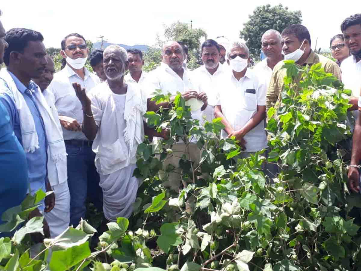 వర్షాలతో నష్టపోయిన రైతులను ఆదుకుంటాం..