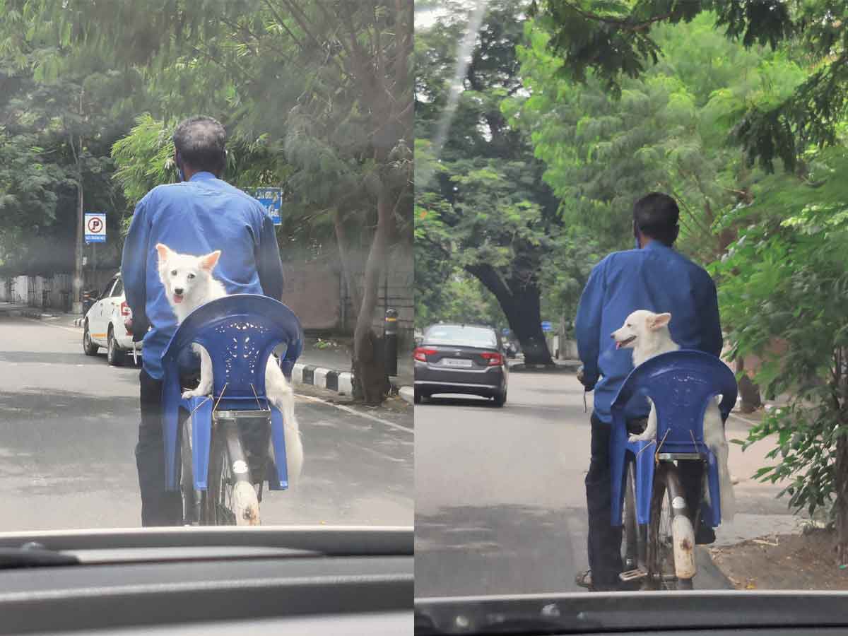 Pic of the Day : దేశీ జూగాడ్.. వాట్ ఆన్ ఐడియా స‌ర్‌జీ.. వైర‌ల్ ఫోటో