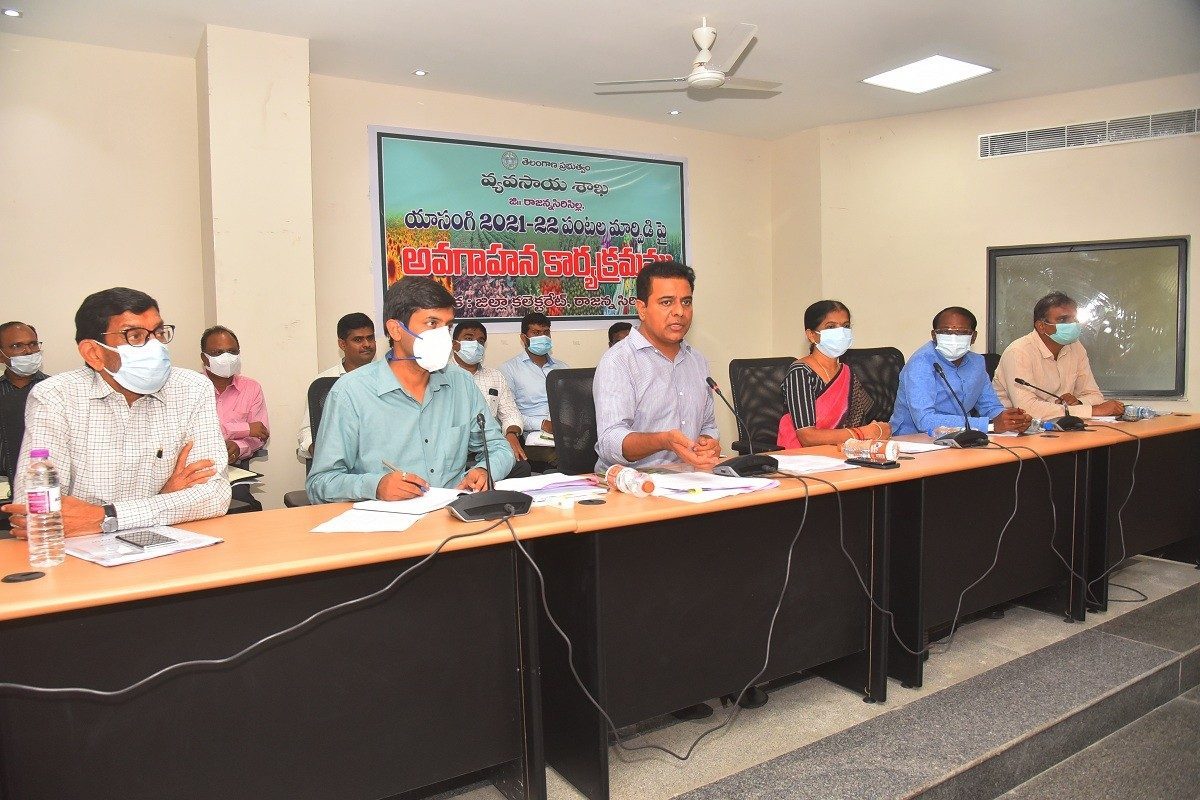 Rajanna Siricilla: ప్రత్యామ్నాయ పంటల సాగులో రాజన్న సిరిసిల్లను ఆదర్శంగా నిలపాలి : మంత్రి కేటీఆర్‌