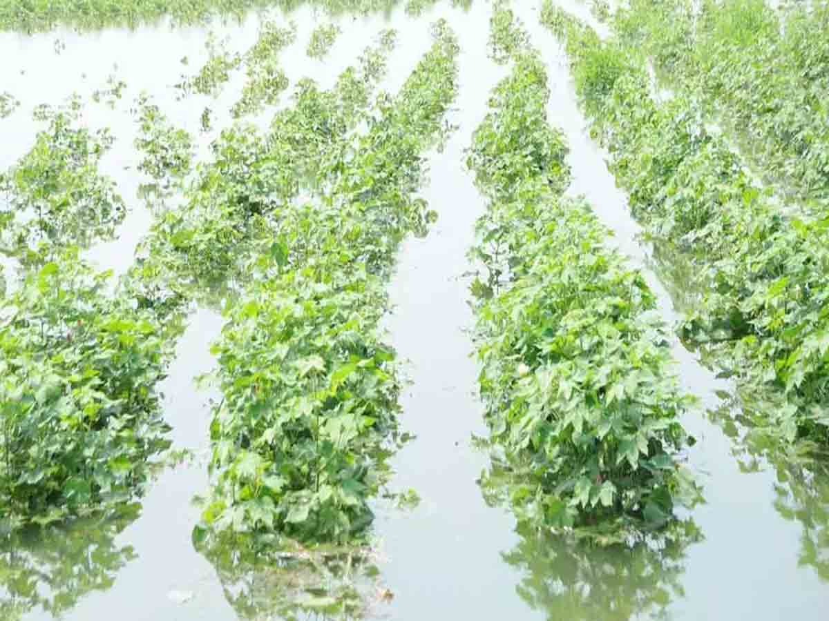 Khammam | వరదనీటిని బయటకు పంపిస్తేనే పంటకు ప్రయోజనం..