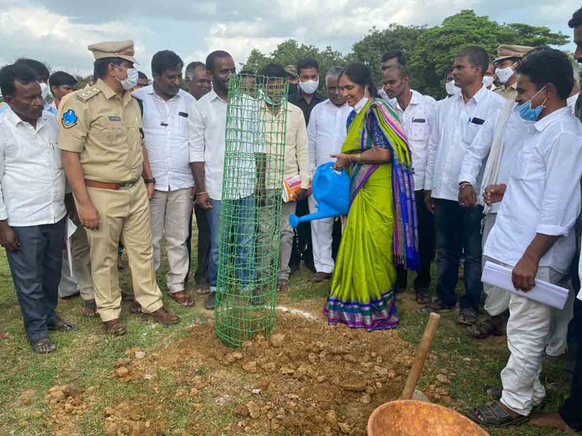 జమ్మి మొక్కలు నాటిన ఎమ్మెల్యే పద్మాదేవేందర్‌రెడ్డి