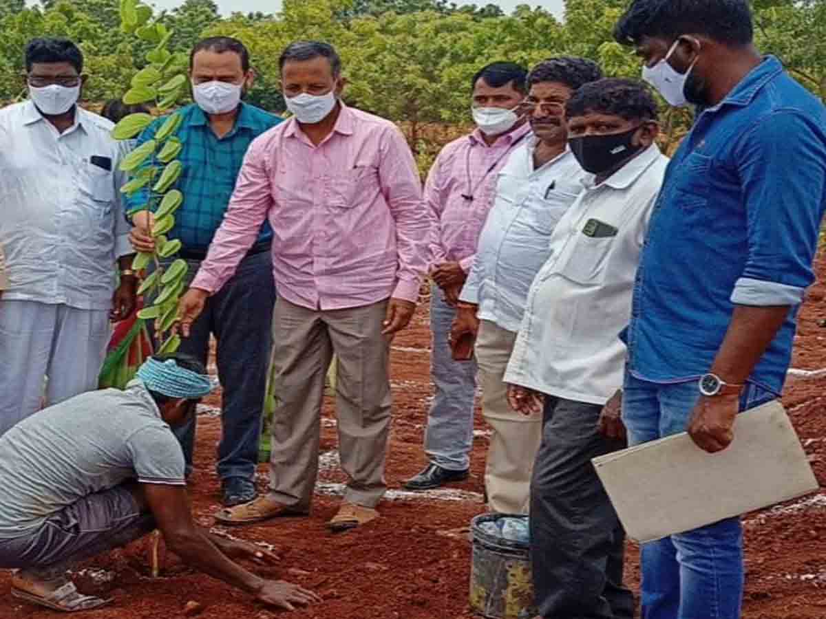 Bhadradri kothagudem | మెగాపార్క్ పనులను పరిశీలించిన జెడ్పీ సీఈఓ