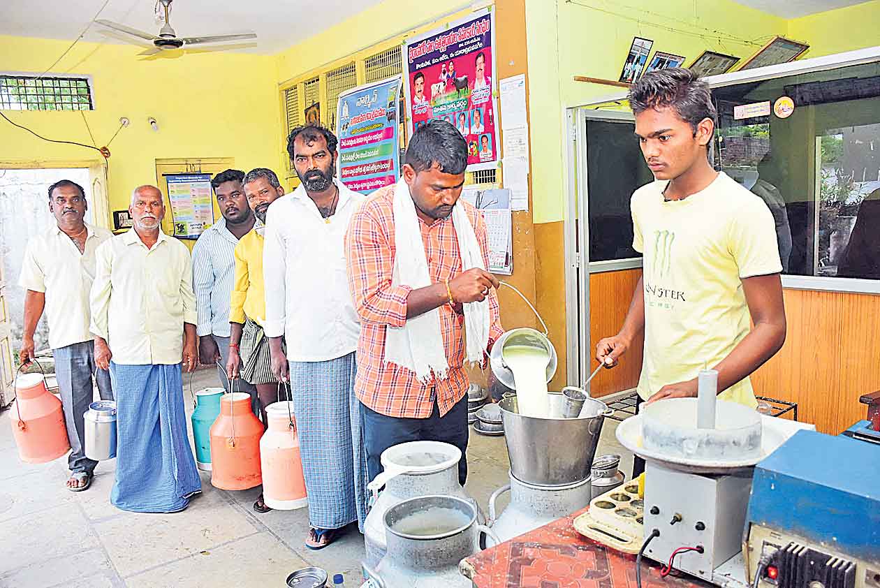 కొలను పాల పొంగు