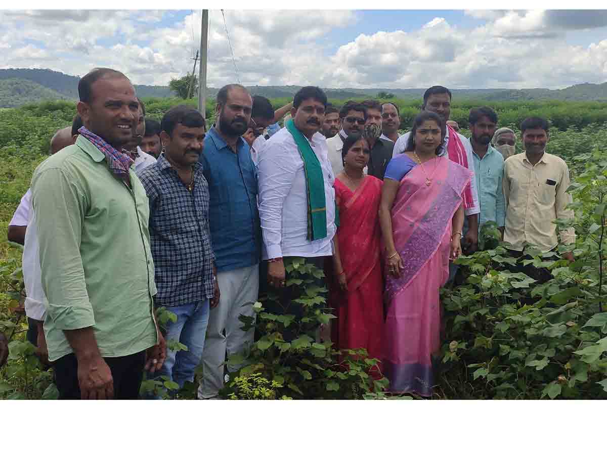 రైతు సంక్షేమమే ప్రభుత్వ ధ్యేయం