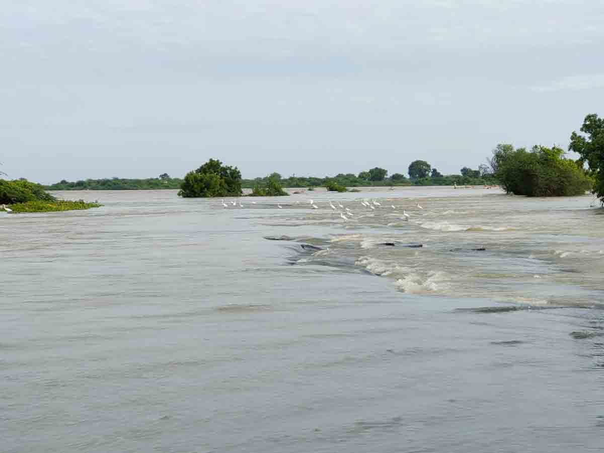 Nizamabad : పైకి తేలిన అంతరాష్ట్ర రహదారి