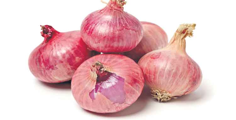 ఒక్కరోజే రూ.7 పెరిగిన ఉల్లి