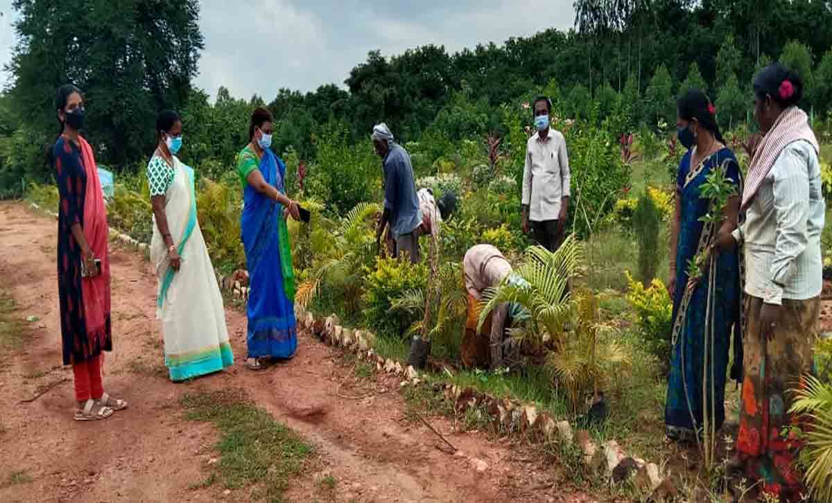Aswaraopeta | బృహత్ పల్లె ప్రకృతి వనాన్ని ఆకర్షణీయంగా తీర్చిదిద్దాలి..