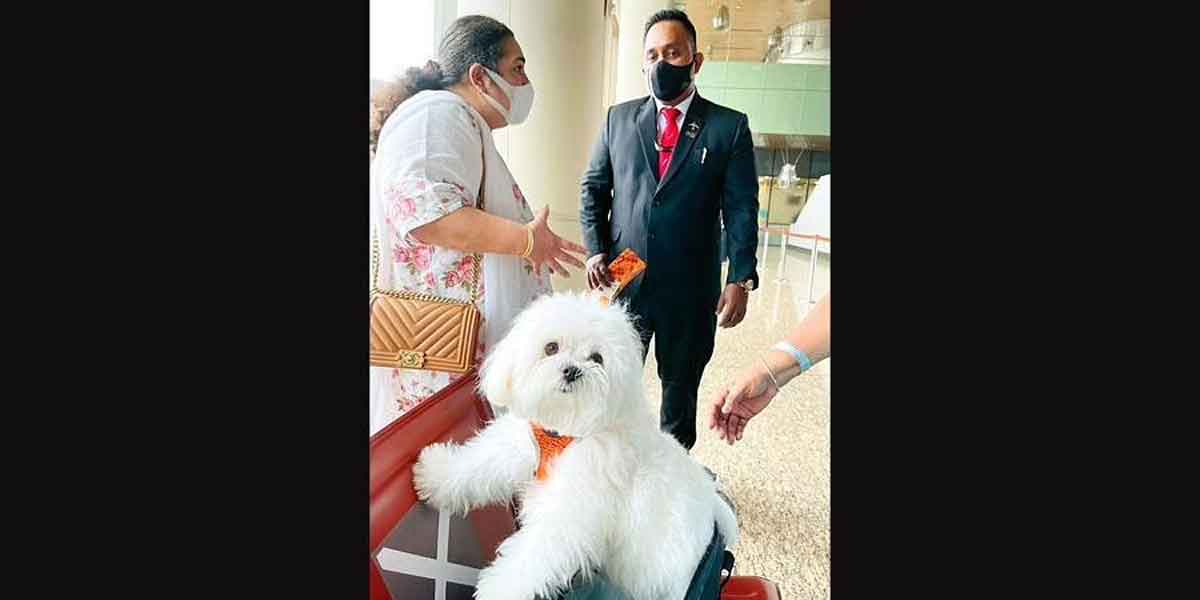 Pet Dog : పెంపుడు కుక్క విమాన ప్ర‌యాణం కోసం.. బిజినెస్ క్లాస్ టికెట్లు అన్నీ కొనేసింది