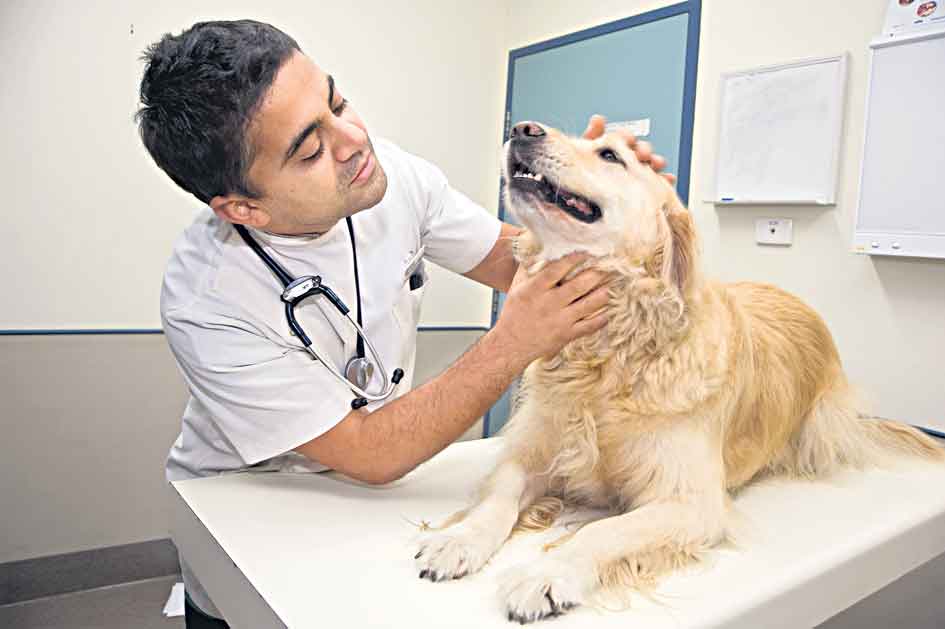 దేశంలో పెరిగిన ఉపాధి లభ్యత