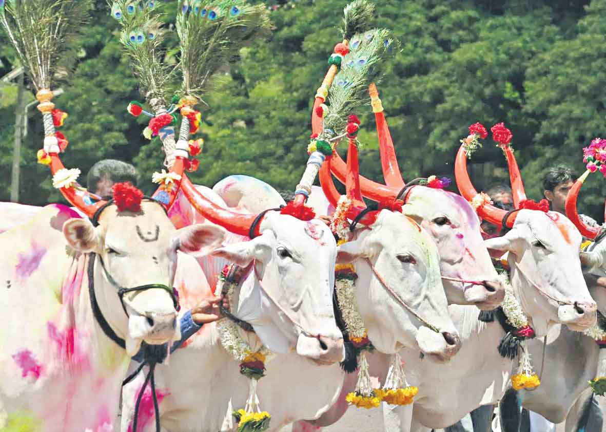 పిల్లలకు అమ్మోరు రక్ష