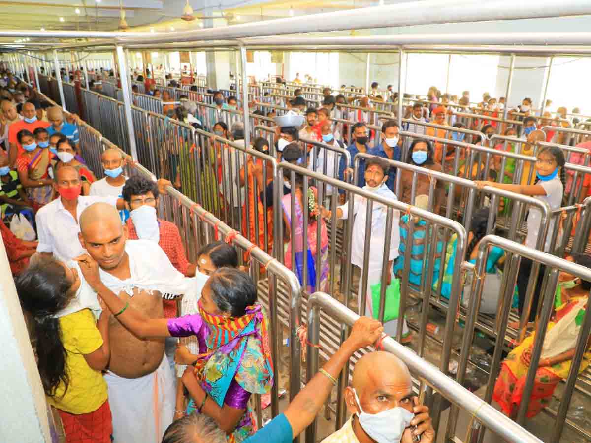 రాజన్న ఆలయంలో భక్తుల రద్దీ..