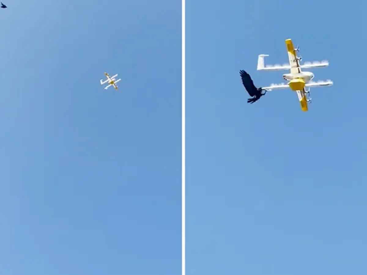 Viral Video: కాఫీ డోర్‌ డెలివ‌రీ చేయ‌డానికి వెళ్తున్న డ్రోన్‌పై కాకి దాడి