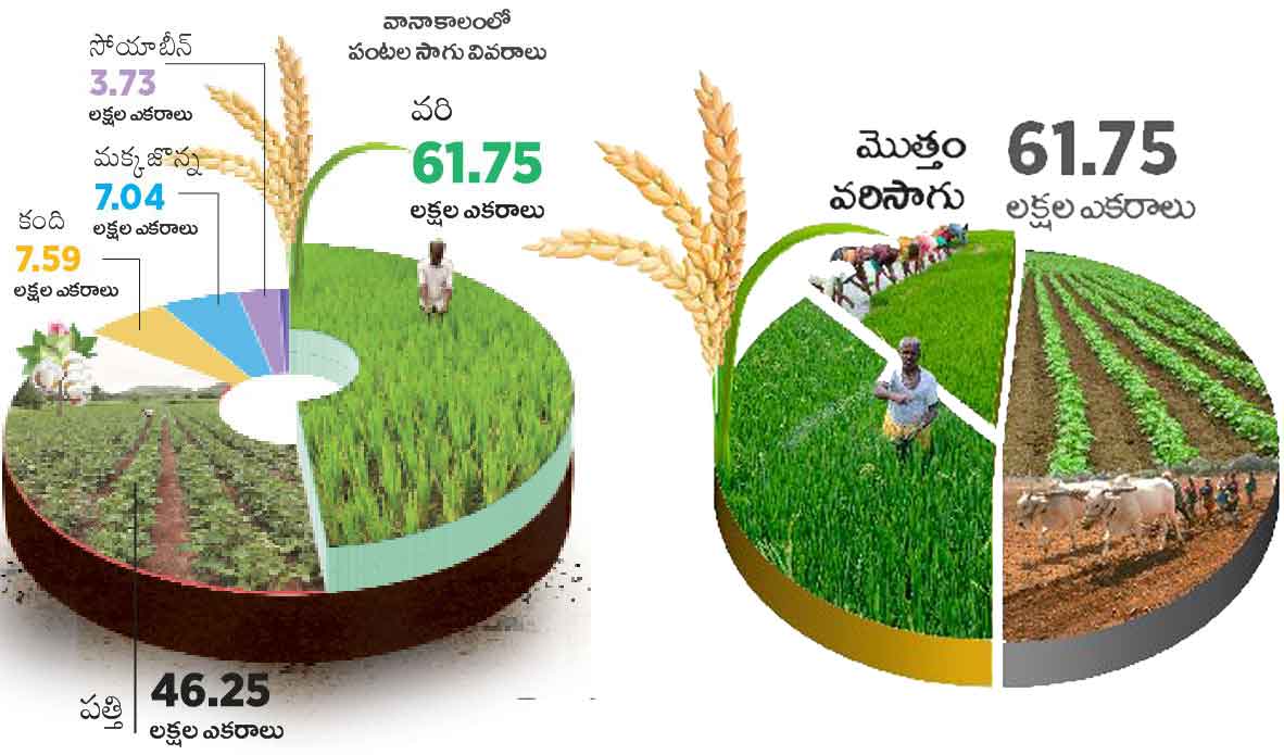 పంటల్లో వరి మోతుబరి