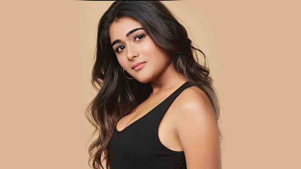 Shalini Pandey | అనుకోకుండా బాలీవుడ్ అవ‌కాశం : షాలినీ పాండే