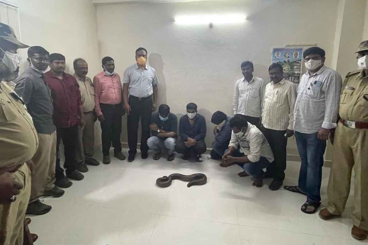 70 లక్షల డీల్‌.. బెడిసికొట్టిన బేరం.. ఆ తర్వాత ఏమైందంటే..