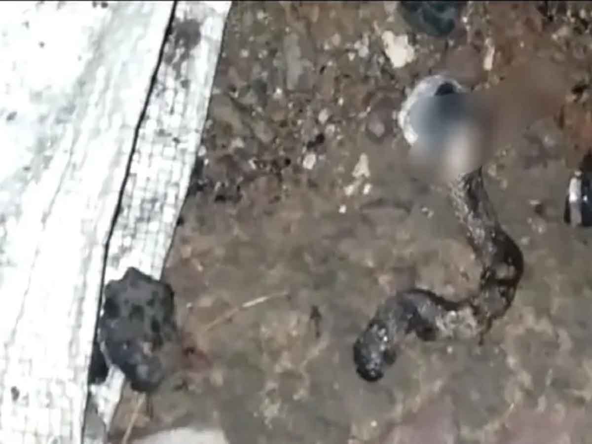 మ‌ద్యం మ‌త్తులో స‌గం కాలిన విష‌పూరిత‌మైన పామును ప‌ట్టుకొని ఏం చేశారంటే?