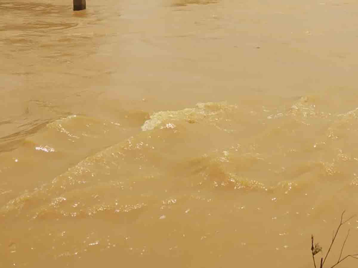 ట్రైడెంట్ ఫ్యాక్టరీలో క్రాసింగ్ సీజన్ ప్రారంభించాలి