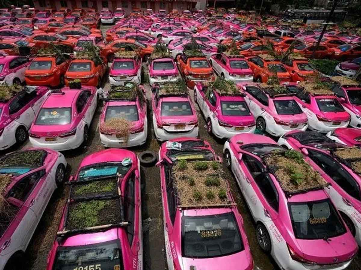Taxi Top Garden : క‌రోనా ఎఫెక్ట్‌.. క్యాబ్‌ల‌ను ఖాళీగా ఉంచ‌లేక‌.. టాప్ మీద గార్డెన్ ఏర్పాటు