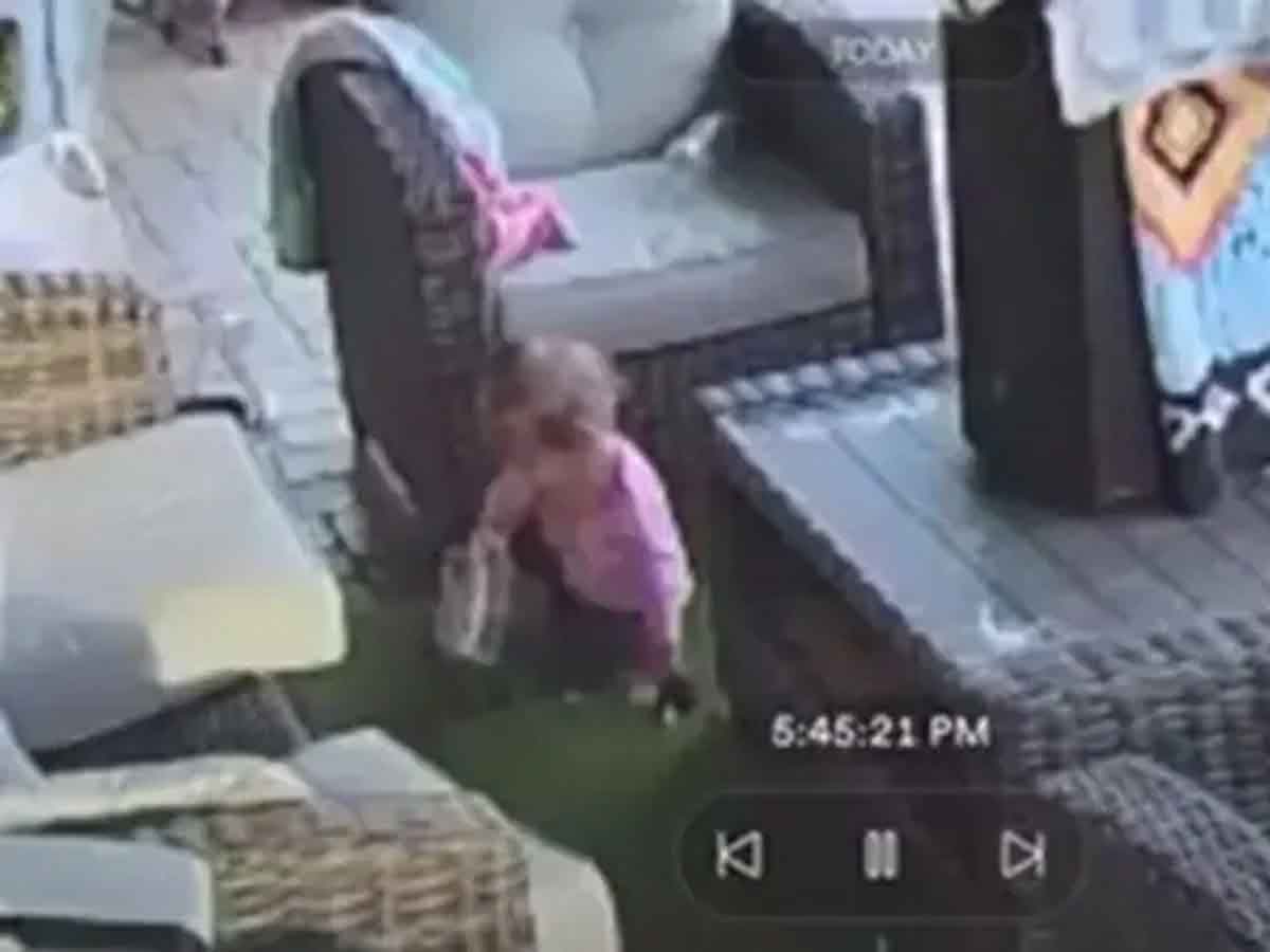 Viral Video : డేంజ‌ర‌స్ స్పైడ‌ర్‌తో చిన్నారి ఆట‌లు.. వెంట‌నే పాప‌ తండ్రి ఏం చేశాడంటే?